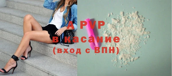 спайс Нея