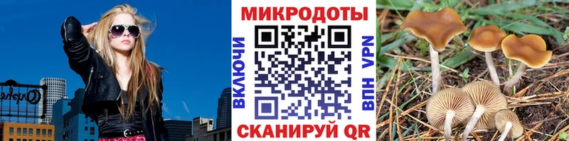 Псилоцибиновые грибы Psilocybe  Нижняя Салда 